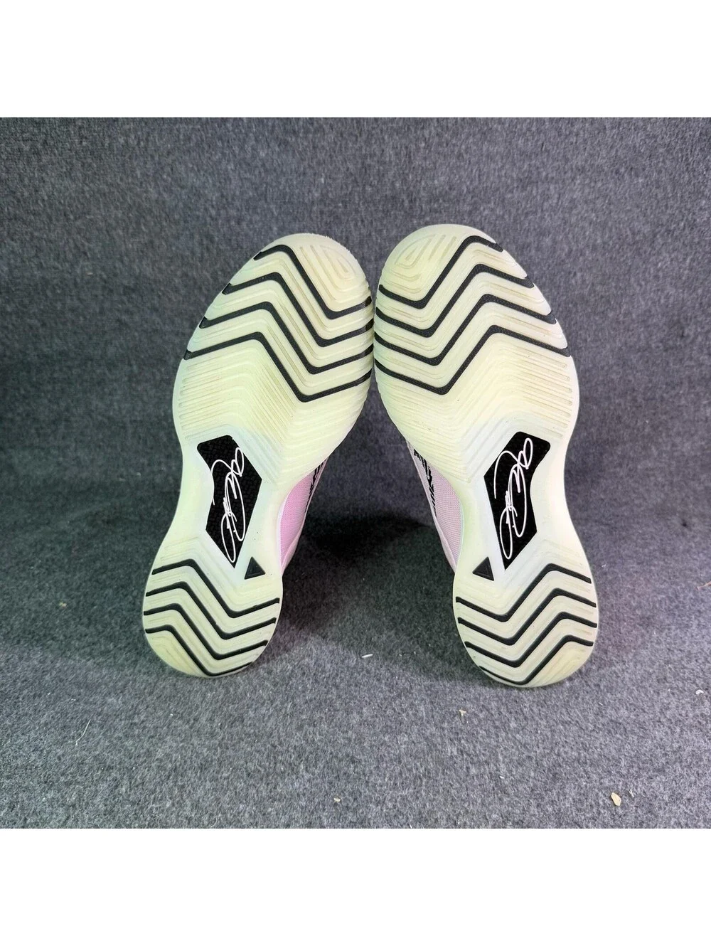 Nike lebron shoes